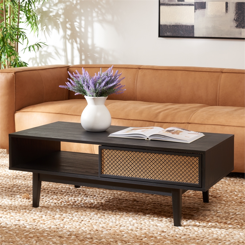Safavieh Ceu Wood and Metal 2 Door Coffee Table in Black / Gold