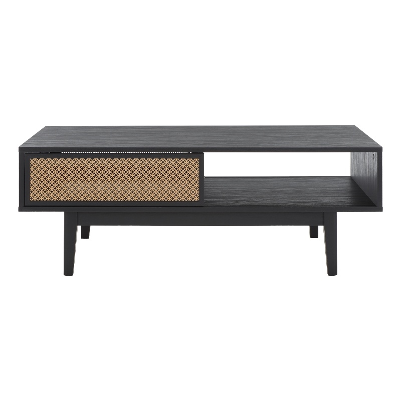 Safavieh Ceu Wood and Metal 2 Door Coffee Table in Black / Gold