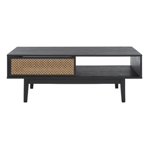 Safavieh Ceu Wood and Metal 2 Door Coffee Table in Black / Gold