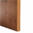Safavieh Truman Wood Rectangle Coffee Table in Brown