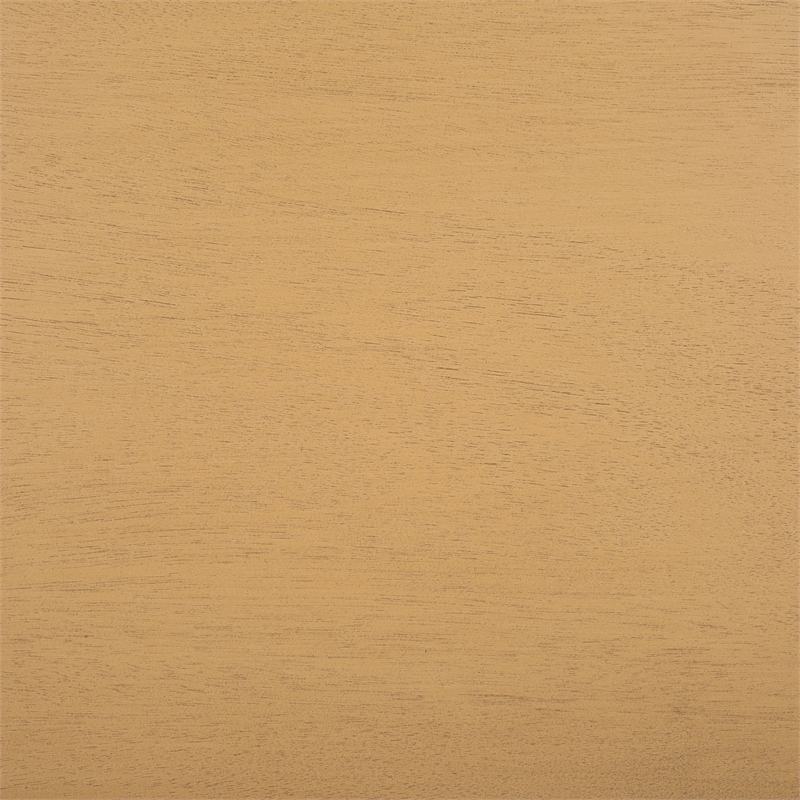 Safavieh Ajana Wood and Metal 2 Drawer Console Table  in Camel