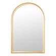 Safavieh Lensi Wood and Glass Mirror in Gold