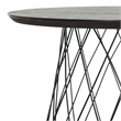 Safavieh Roper Wood and Metal End Table in Black