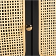 Safavieh Karol Wood and Iron 3 Door Cane Media Stand in Black / Natural
