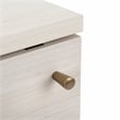 Safavieh Claude Wood 1Door 2Shelf Media Stand in White / Natural