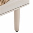 Safavieh Claude Wood 1Door 2Shelf Media Stand in White / Natural