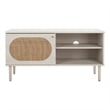 Safavieh Claude Wood 1Door 2Shelf Media Stand in White / Natural