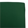 Safavieh Newport Wood Lounge Chair in Natural / Green