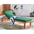Safavieh Solano Wood Sunlounger in Natural / Green