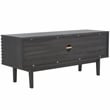 Safavieh Aricia Wood Small 2Door Media Stand in Black