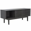Safavieh Aricia Wood Small 2Door Media Stand in Black
