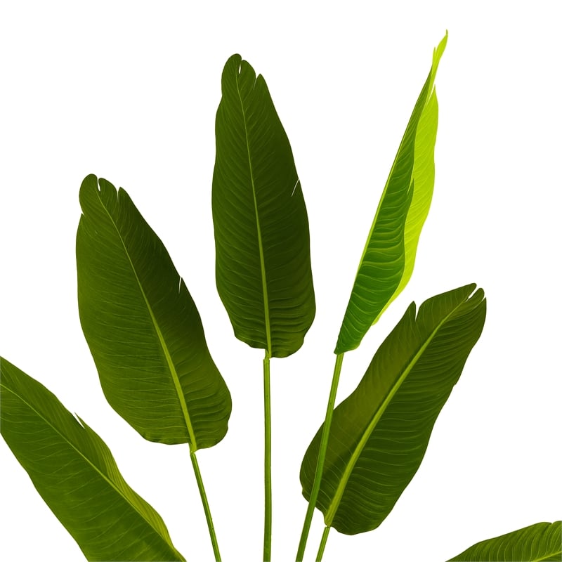 Safavieh Faux Plastic and Polyester 63