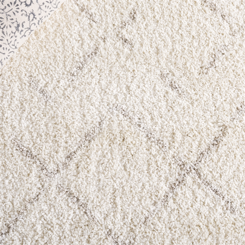 Safavieh Arizona Shag 12'-0