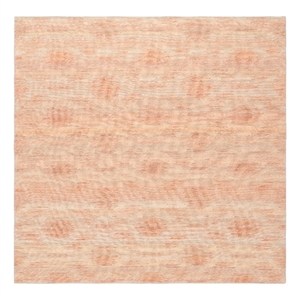 Safavieh Cabo 7'-0&quot x 7'-0&quot Polyester and Cotton Flatweave Rug in Red / Beige