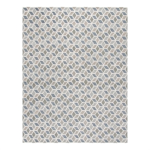 Safavieh Ebony 6'-0&quot x 9'-0&quot Wool and Cotton Hand Tufted Rug in Ivory / Gray