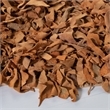 Safavieh Leather Shag 6'-0
