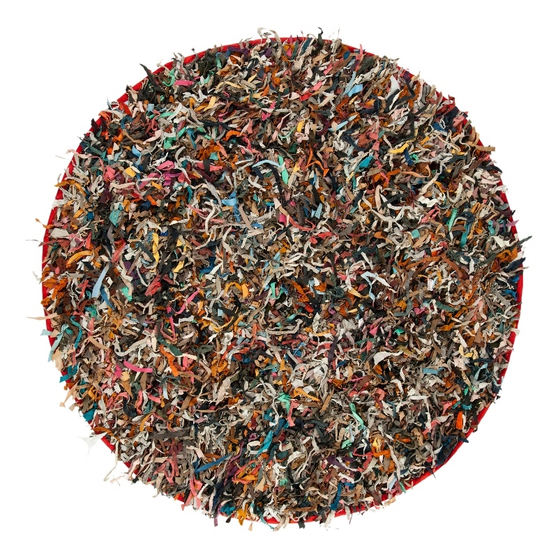 Safavieh Leather Shag 6'-0