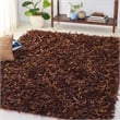 Safavieh Leather Shag 5'-0