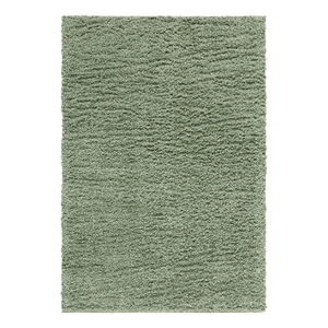 Safavieh Lindsay Shag 4'-0&quot x 6'-0&quot Polyester Power Loomed Rug in Green