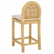 Safavieh Tojo Cane Roundback Wood Counter Stool in Natural / White