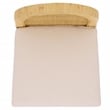 Safavieh Tojo Cane Roundback Wood Counter Stool in Natural / White