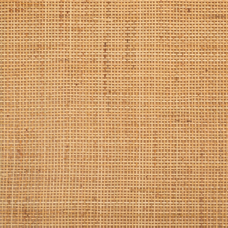 Safavieh Juri Rectangle Rattan Coffee Table  in Natural