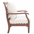 Safavieh Payden Wood Outdoor Accent Chair  in Natural / White