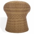 Safavieh Lynsee Wicker Stainless Steel  Patio Chair in Natural