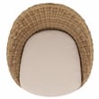 Safavieh Lynsee Wicker Stainless Steel  Patio Chair in Natural