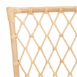 Safavieh Austri Rattan and Fabric Dining Chair w/ Cushion in White / Natural