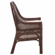 Safavieh Alina Rattan and Fabric Dining Chair w/ Cushion in Brown / White