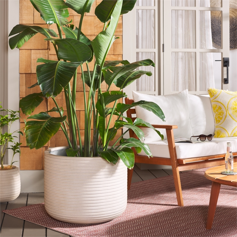 Safavieh Nardo Large Ficonstone Pot in Beige