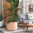 Safavieh Nardo Large Ficonstone Planter Pot in Terracotta