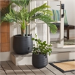 Safavieh Jasper Ficonstone Pot Set of 2 in Black