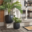 Safavieh Kane Ficonstone Pot Set of 2 in Black
