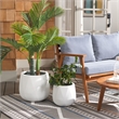 Safavieh Kane Planter Ficonstone Pot Set of 2 in White
