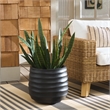 Safavieh Marta Ficonstone Planter Pot  in Black
