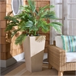 Safavieh Paloma Large Ficonstone Planter  in Beige