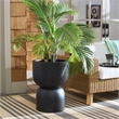 Safavieh Ricco Pedestal Ficonstone Planter in Black