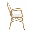 Safavieh Rosen Aluminum Arm Chair in White