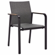 Safavieh Dexter Aluminum Armchair w/ Teak Set of 2 in Black