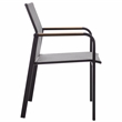 Safavieh Dexter Aluminum Armchair w/ Teak Set of 2 in Black