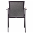 Safavieh Dexter Aluminum Armchair w/ Teak Set of 2 in Black