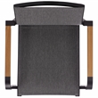 Safavieh Dexter Aluminum Armchair w/ Teak Set of 2 in Black