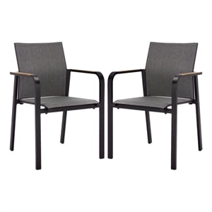 Safavieh Dexter Aluminum Armchair w/ Teak Set of 2 in Black