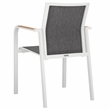 Safavieh Dexter Aluminum Armchair w/Teak Set of 2 in White