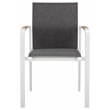 Safavieh Dexter Aluminum Armchair w/Teak Set of 2 in White