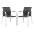 Safavieh Dexter Aluminum Armchair w/Teak Set of 2 in White