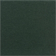 Safavieh All Weather Adirondack Chair in Green