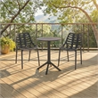 Safavieh Fufa Plastic Dining Chair Set of 2 in Black